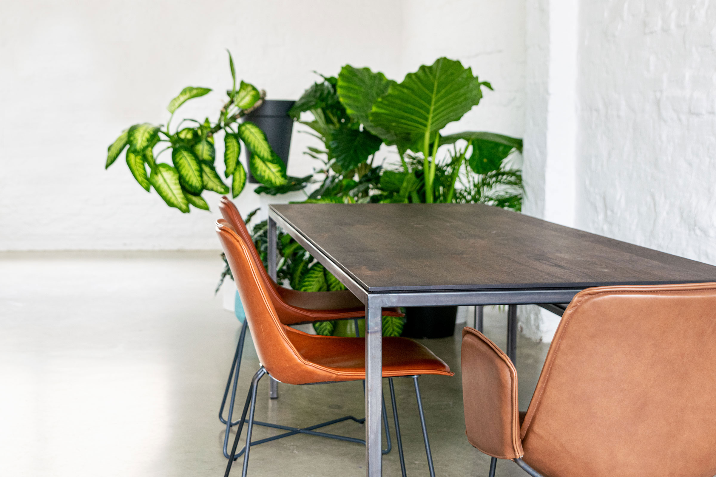 Esstisch mit dunkler Oberfläche in modernem Essbereich